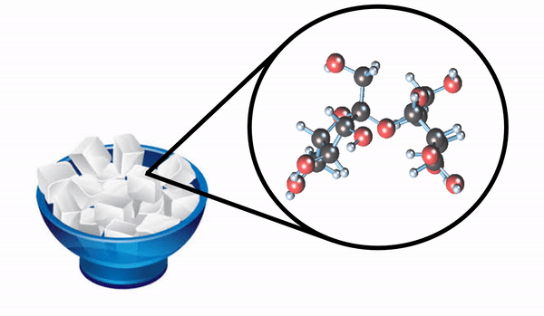 molécula de sacarosa