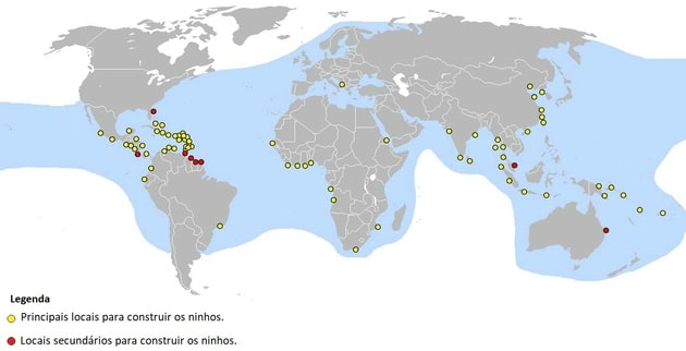 distribución geográfica de la tortuga laúd