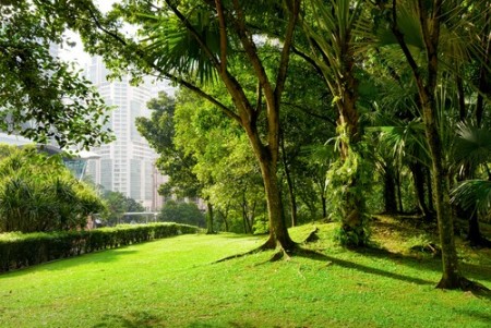 Zona verde en un gran núcleo urbano.  Foto: Efired / Shutterstock.com