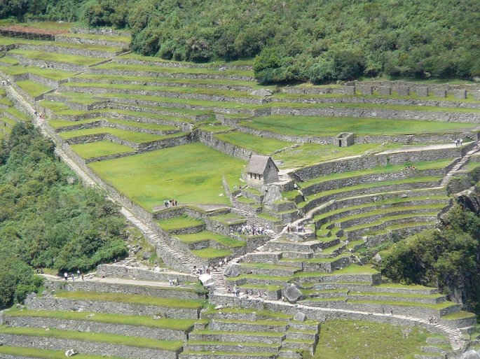 Agricultura Inca en terrazas sostenidas por piedras