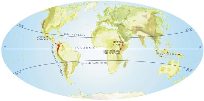 Mapa del mundo y líneas imaginarias.