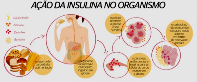 ¿Qué es la insulina, sus funciones y tipos?