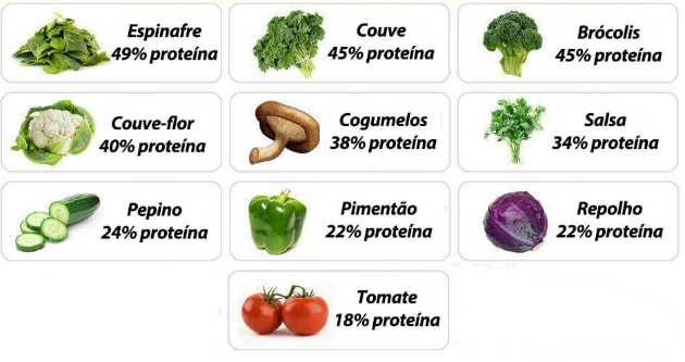 Alimentos y proteínas vegetales