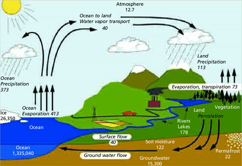 Ciclo hidrológico (ciclo del agua)